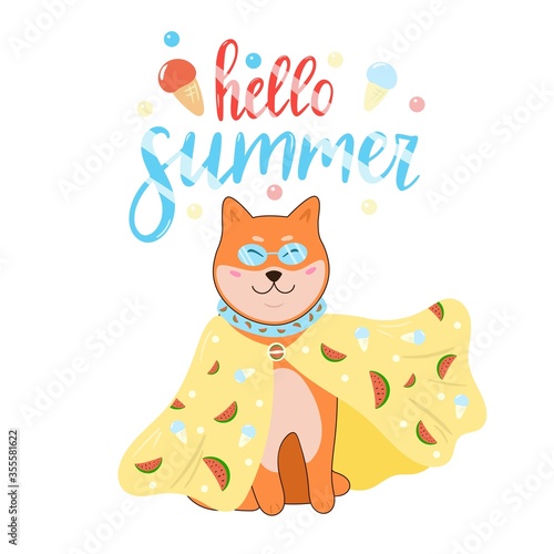 Vector hand drawn illustration of shiba inu dog. Hello summer colorful lettering. Design for sticker, card, poster. Isolated on white background.