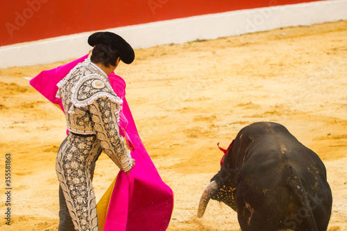 Bullfighter