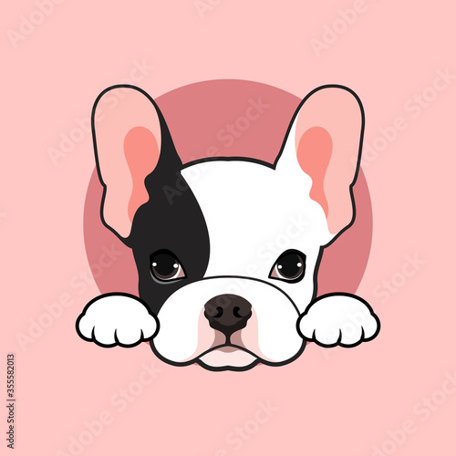 Cute black & white french bulldog puppy pose at the small open tunnel in pink background.