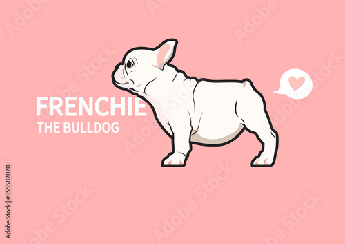 A Cute Chubby Frenchie and Her Fart. Brown french bulldog puppy is standing on the floor inside view and shows how she exhale.