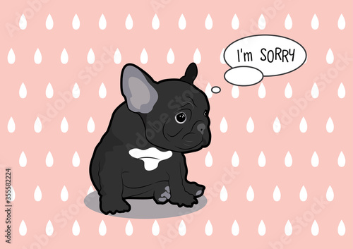 French Bulldog Feels Guilty and sits on the pink teardrop background.