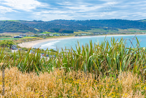 Curio bay beach at Caitlins region of New Zealand photo