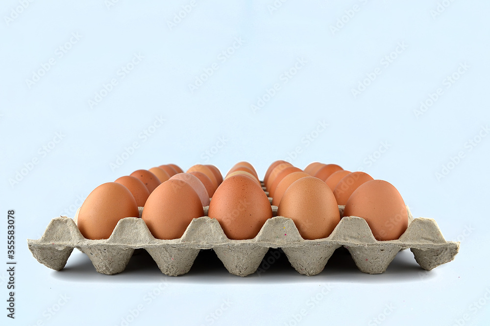 Chicken eggs in the egg tray isolated on the white background. Chicken eggs in the egg tray isolated on the white background.