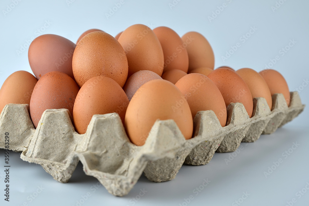 Chicken eggs in the egg tray isolated on the white background. Chicken eggs in the egg tray isolated on the white background.