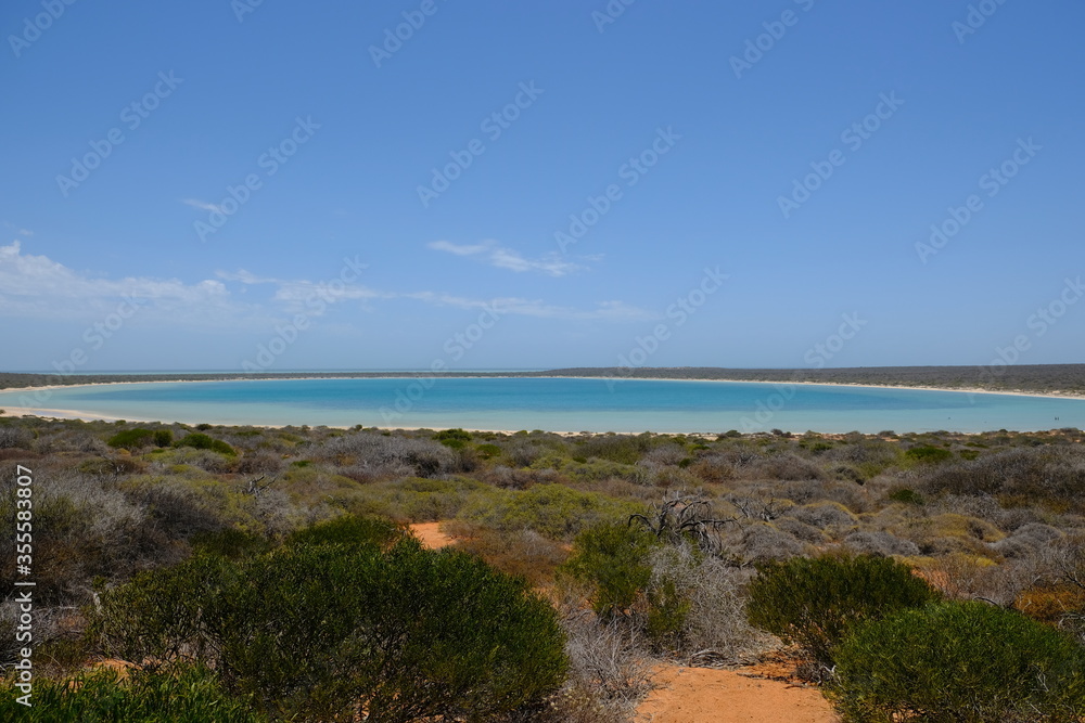 Western Australia Shark Bay - Denham Coffee Mia circular bay