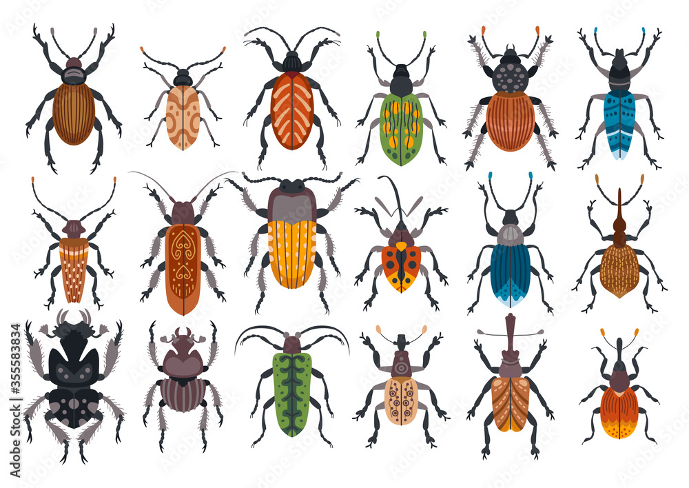 Set of beetles isolated on white background Set of beetles isolated on white background