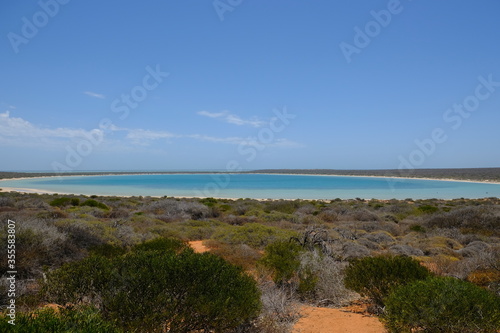 Western Australia Shark Bay - Denham Coffee Mia circular bay