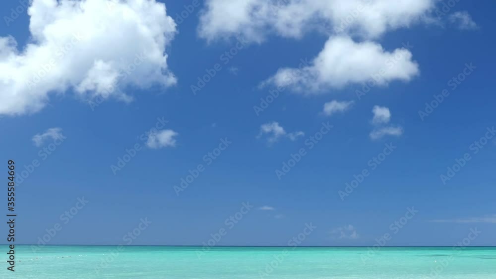 Coconut palm trees on white sandy beach on caribbean island. Vacation summer holidays Coconut palm trees on white sandy beach on caribbean island. Vacation summer holidays