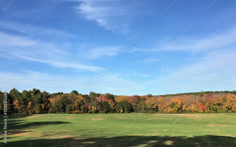 View across a green field in autumn with colorful foliage on the trees and blue sky with jet streams