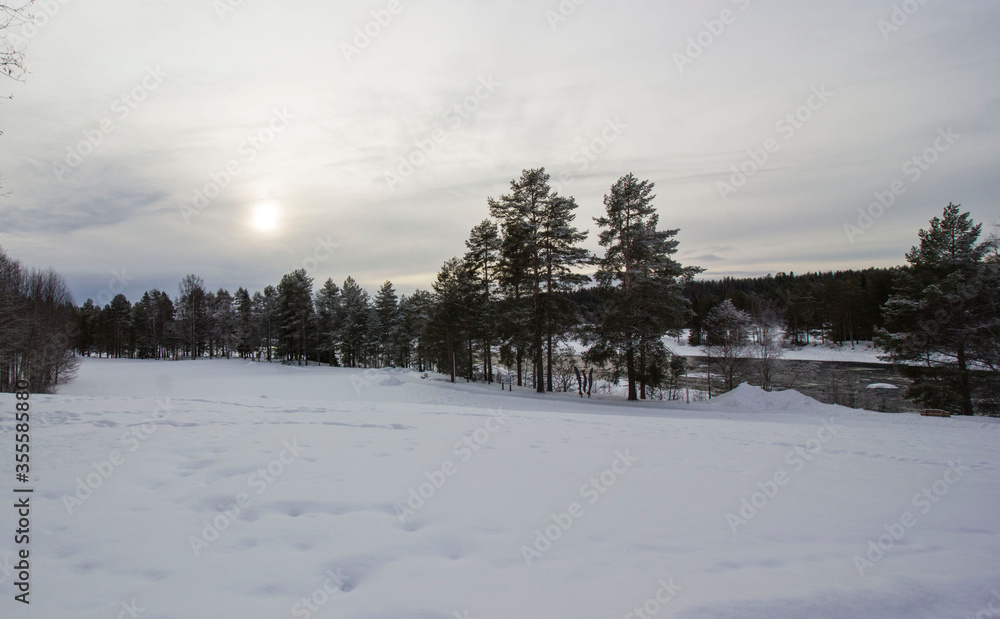 Landscape with much snow in the winter time at Sweden Landscape with much snow in the winter time at Sweden