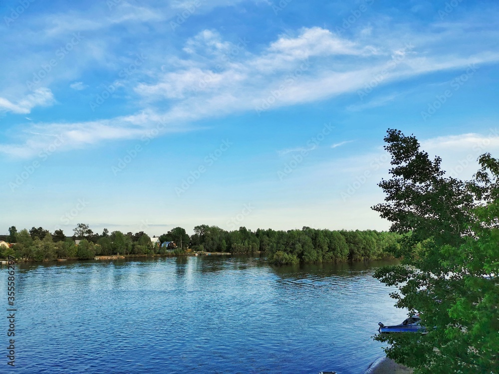 lake in the forest