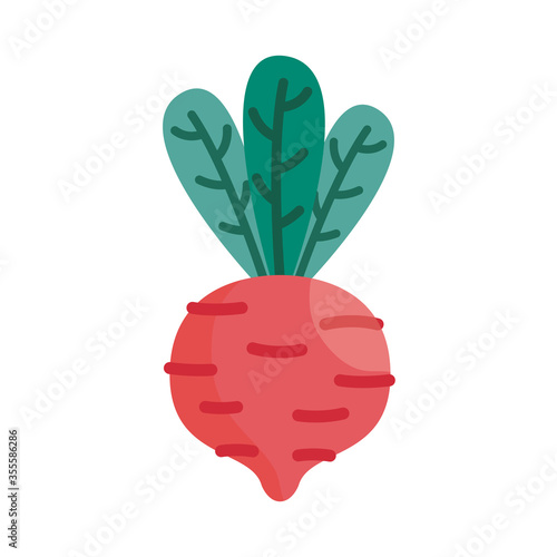 radish detail style icon vector design