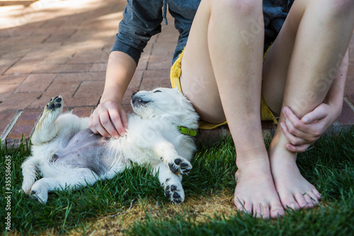 teenage girl playing with her English Cream Golden Retriever puppy on green lawn photo