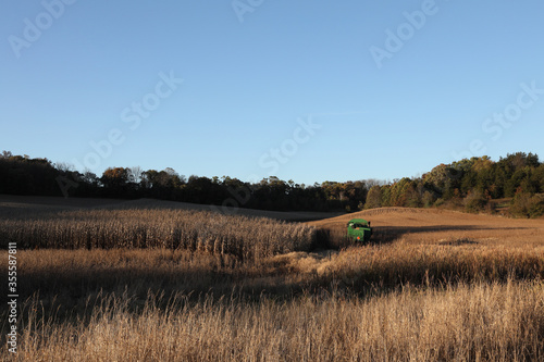 autumn landscape with trees