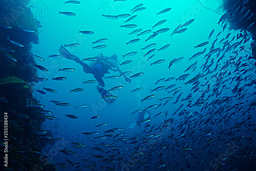 School of fish and divers © Nobu Otsuka