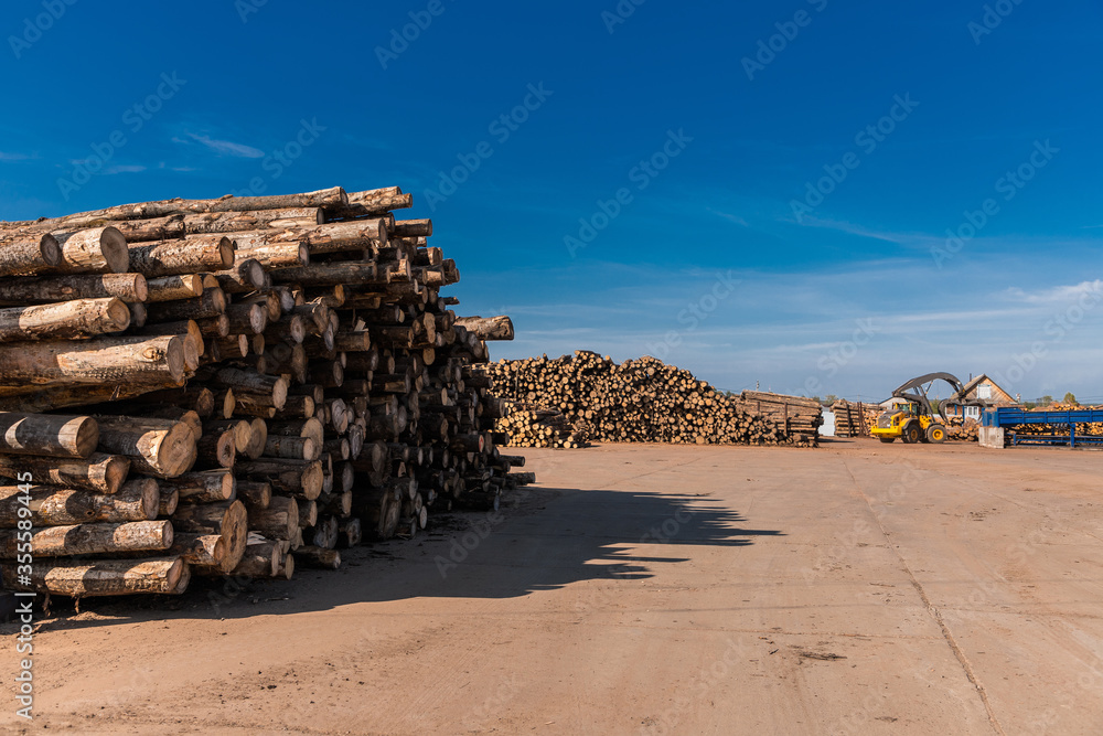 Woodworking factory. Tree wooden logs. Wood storage for industry. Felled tree trunks. Panorama of firewood cut tree trunk logs stacked prepared. Deforestation for Industrial production.