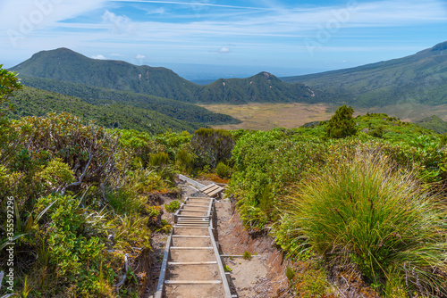 Ahukawakawa Swamp under mount Taranaki at Egmont national park in New Zealand photo