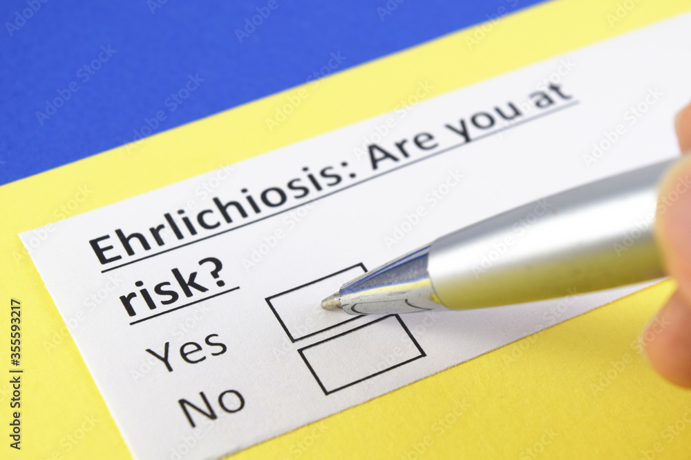 Questionnaire about health problems Questionnaire about health problems