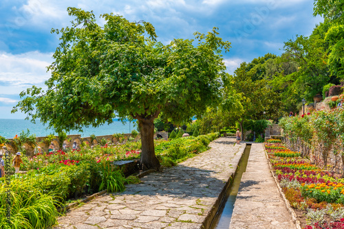 Tableau sur toile Rose garden at botanical garden of Balchik palace in Bulgaria