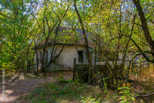 Nature takes over an abandoned village inside of the Chernobyl Exclusion Zone in the Ukraine photo