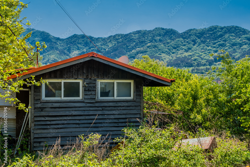 Abandoned wooden shack in wilderness Abandoned wooden shack in wilderness