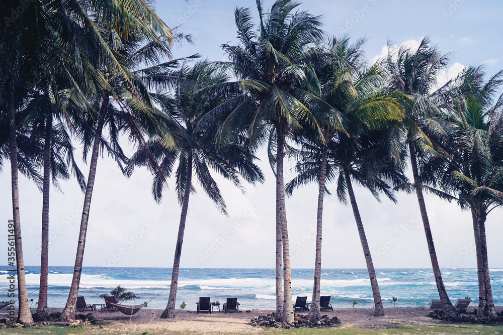 Obraz premium Tropical landscape. Sand beach with coconut palm trees.