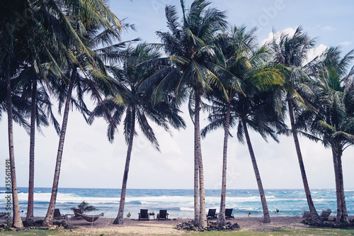 Tropical landscape. Sand beach with coconut palm trees. © luengo_ua