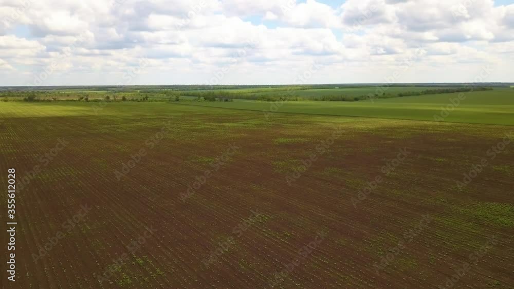 Flying over green agricultural fields, aerial view. Flying over green agricultural fields, aerial view.
