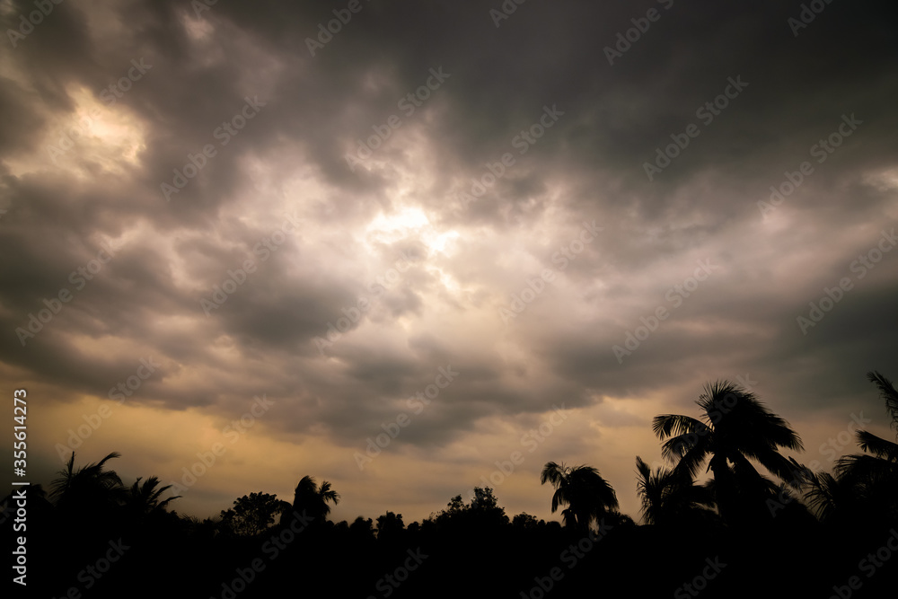 Silhouette of trees with dark cloudy sky
