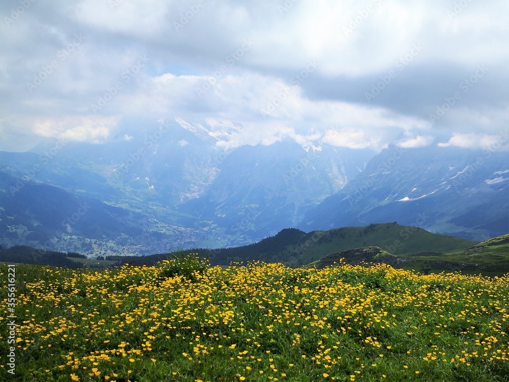 Beautiful view of Männlichen mounain in Switzerland.