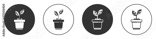 Black Plant in pot icon isolated on white background. Plant growing in a pot. Potted plant sign. Circle button. Vector Illustration.