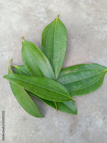 Photography Bay Leaf (Tejpata) Images, Stock Photos