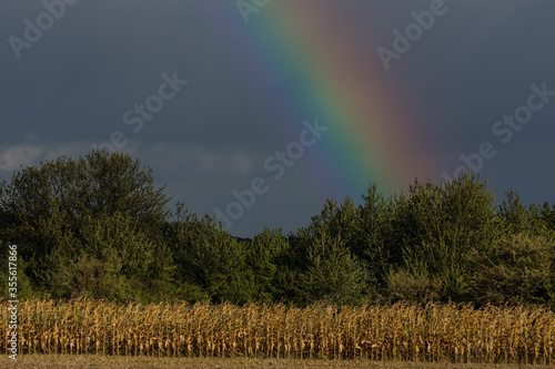 storm clouds and rainbow in a field with trees