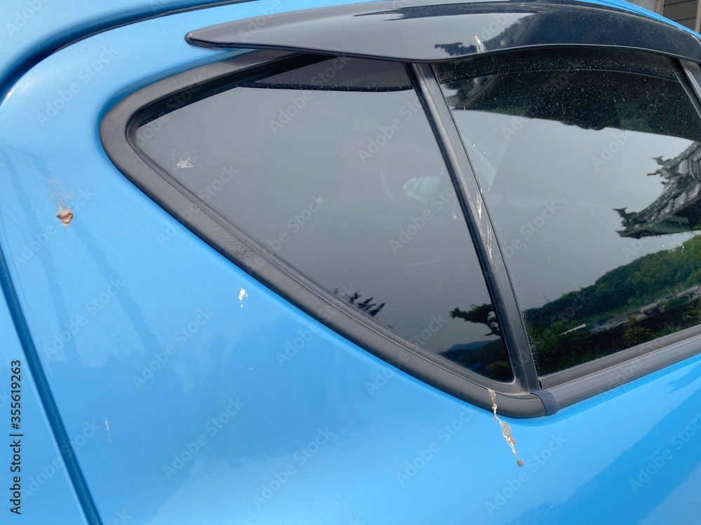Obraz premium 鳥の糞で汚れた車