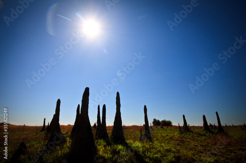 termite mound sunset photo