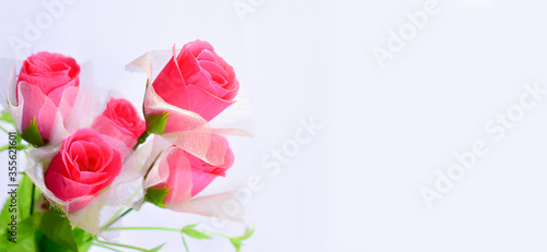 a bouquet of flowers isolate on white background with copy space isolate on white background  Close-up of flowers panoramic image