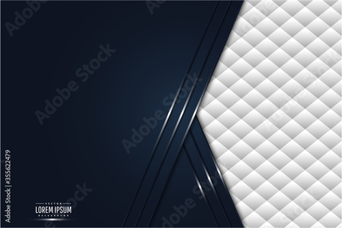   Abstract background.Luxury of dark blue and upholstery white space vector illustration.
