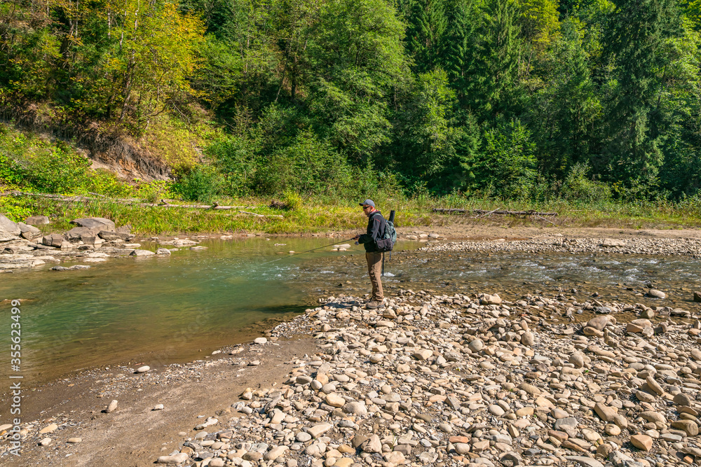Fishing at wild mountain river. Fisherman catch trout fish at stone coast of forest stream