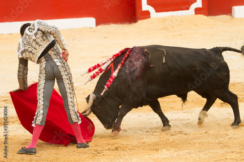 Bullfighter photo