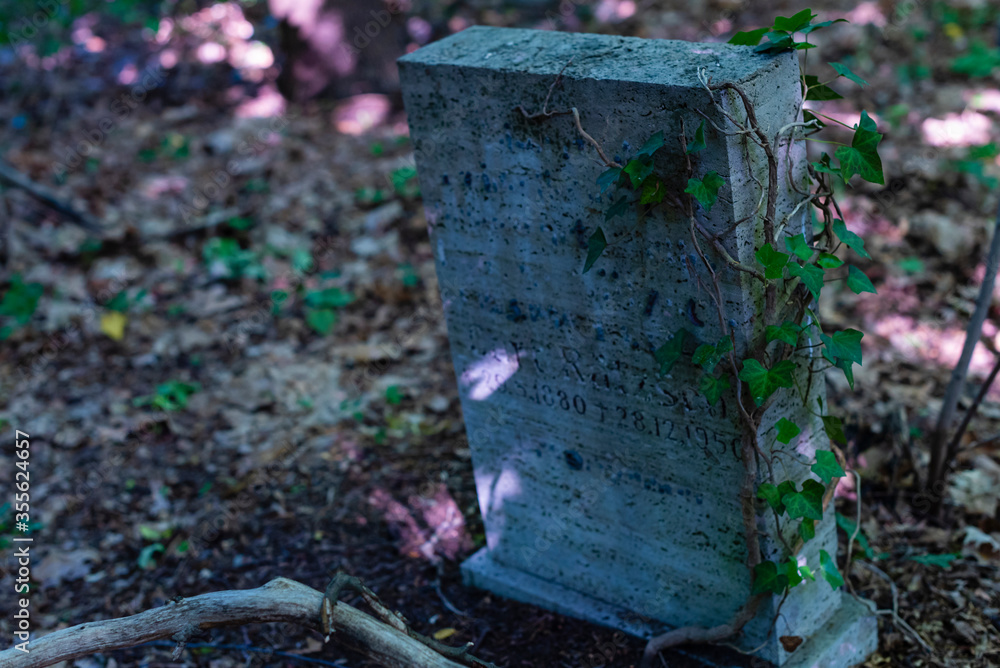 Old graves in a forest, old cemetery, graves no one cares about, overgrown graves Old graves in a forest, old cemetery, graves no one cares about, overgrown graves