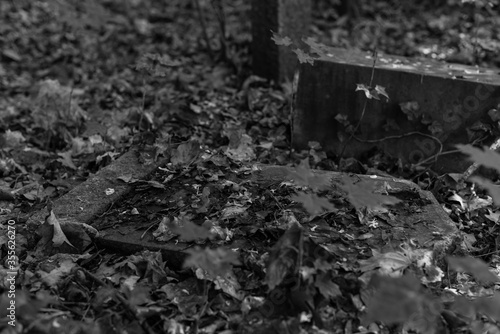 Old graves in a forest, old cemetery, graves no one cares about, overgrown graves, black and white photo, dark photo