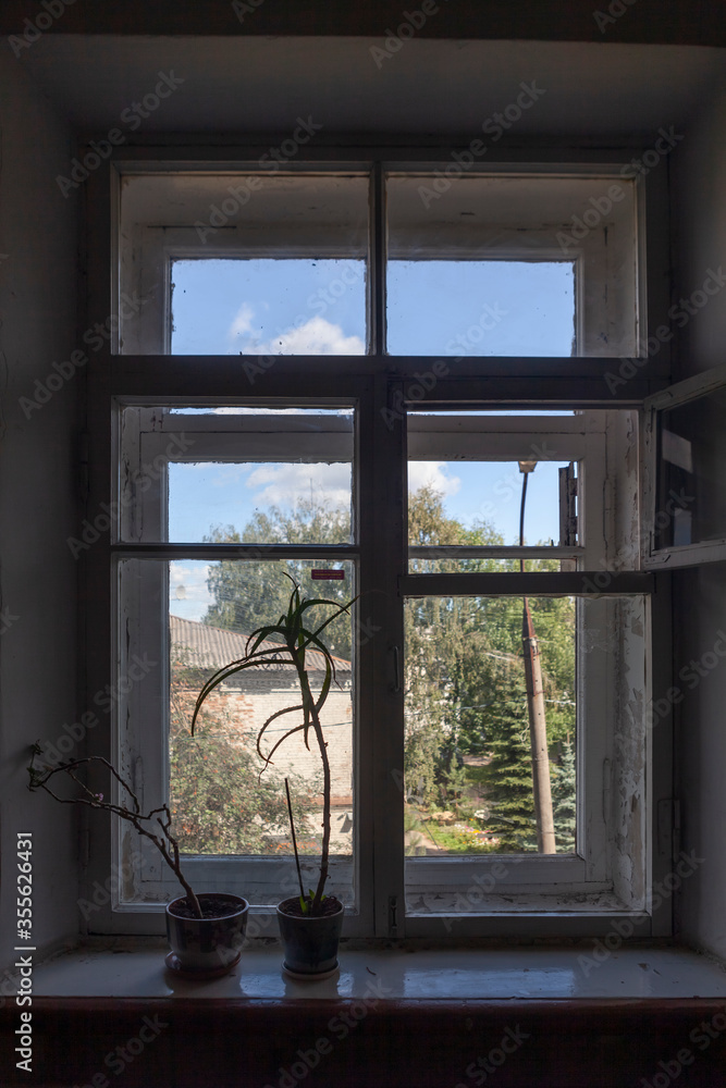 Fototapeta premium window with a view