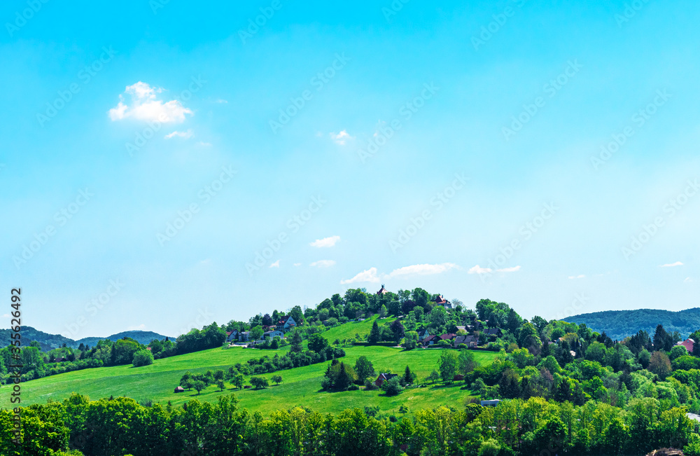 summer landscape in the mountains