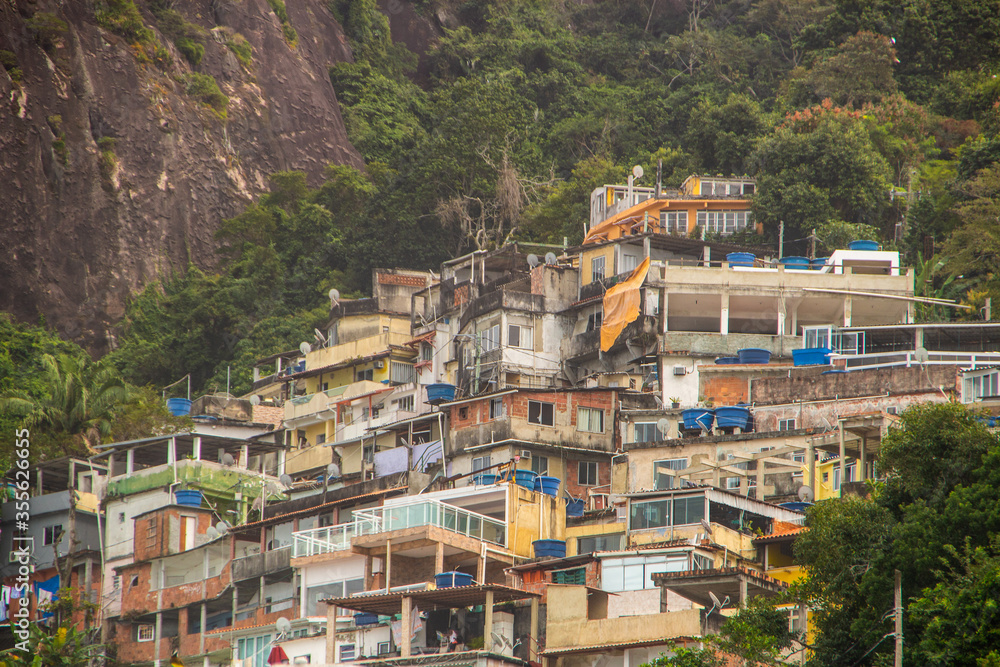 slum sky farm ( chacara do ceu ) in Rio de Janeiro.