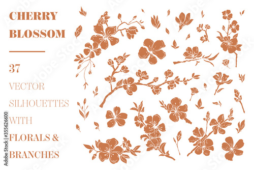 Vector cherry branches and florals