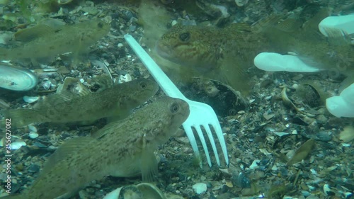 Plastic pollution: Goby fish among the plastic waste on the seabed, close-up.