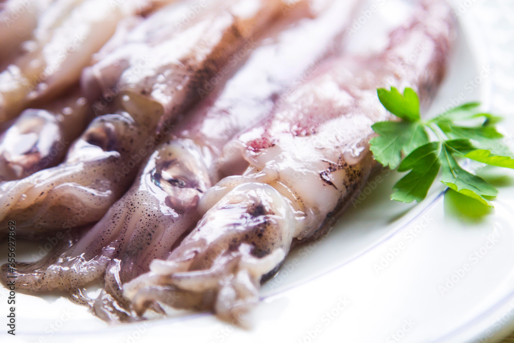 fresh squid or cuttlefish with parsley on the plate fresh squid or cuttlefish with parsley on the plate