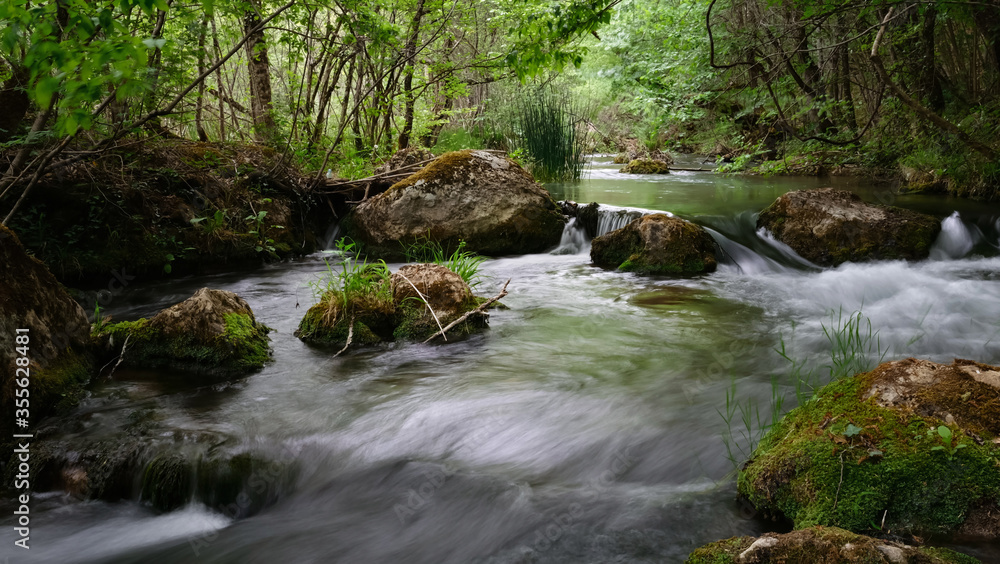Full-flowing river in a green sunny forest. Full-flowing river in a green sunny forest.