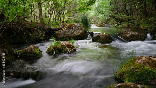 Full-flowing river in a green sunny forest.