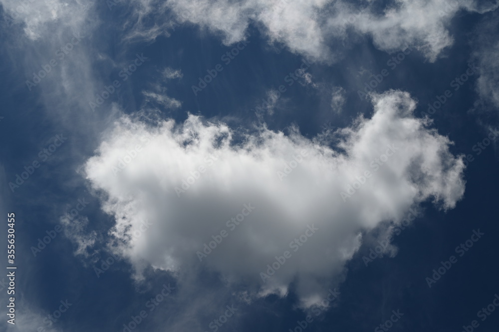 Fototapeta premium Summer blue sky and white clouds.